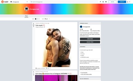 gay male porn reddit