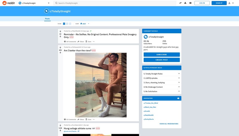 gay porn reddit pages